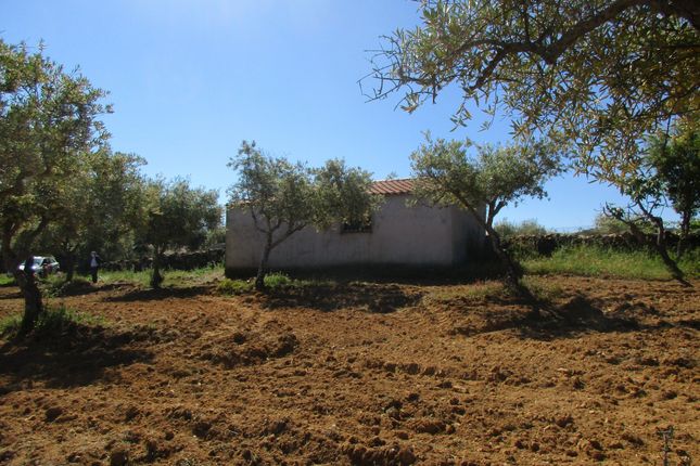 Farm for sale in Aranhas, Penamacor, Castelo Branco, Central Portugal