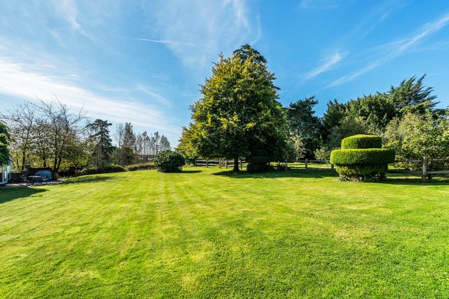 Hall Place Farm,, Hall Place, Surrey photo 4