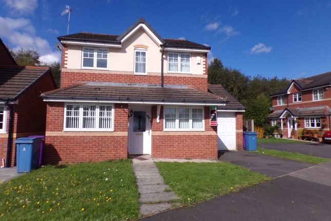 17, Liverpool photo 2