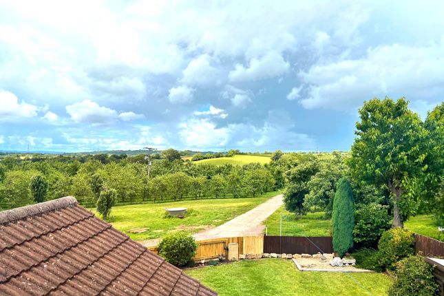 Harvest Home, Lower Court Road, Lower Almondsbury photo 4