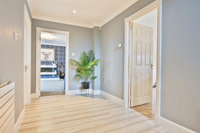 13, Hogan Way, Motherwell photo 2