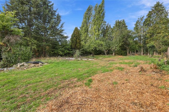 Dell House,, Dell Lane, Nr Bishop's Stortford photo 3