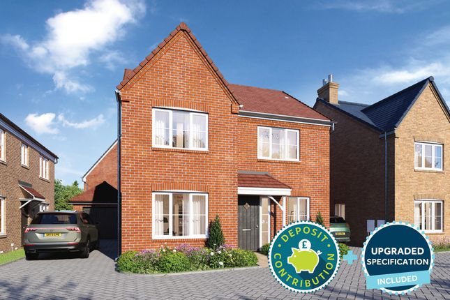 Detached house for sale in "The Juniper" at Burdock Street, Corby