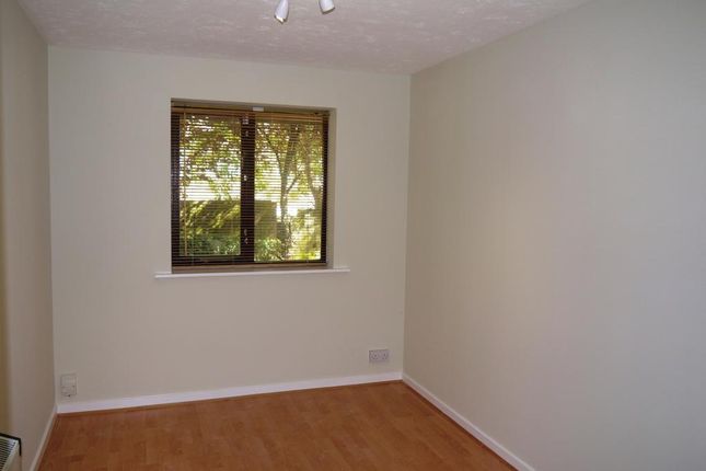 Thicket Grove, Anerley photo 4