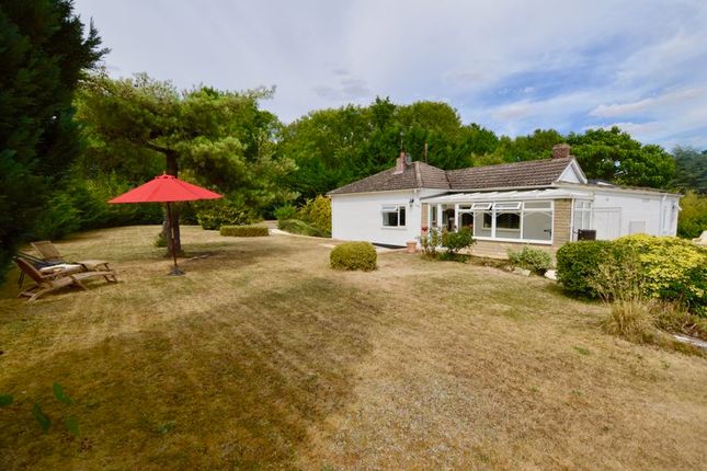 Thumbnail Detached bungalow for sale in Creeton Road, Little Bytham, Grantham