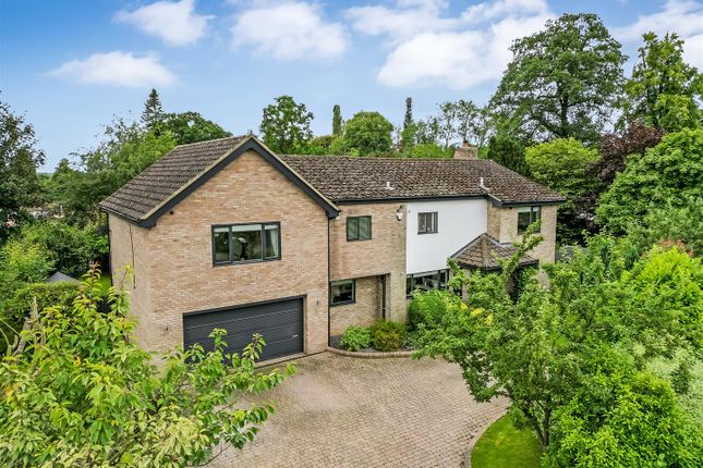 Thumbnail Detached house for sale in The Spinney, Darlington