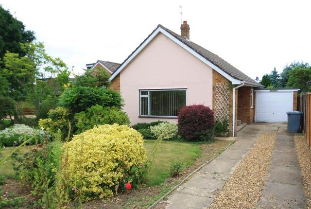 Thumbnail Property to rent in Pedham Road, Blofield Heath, Norfolk