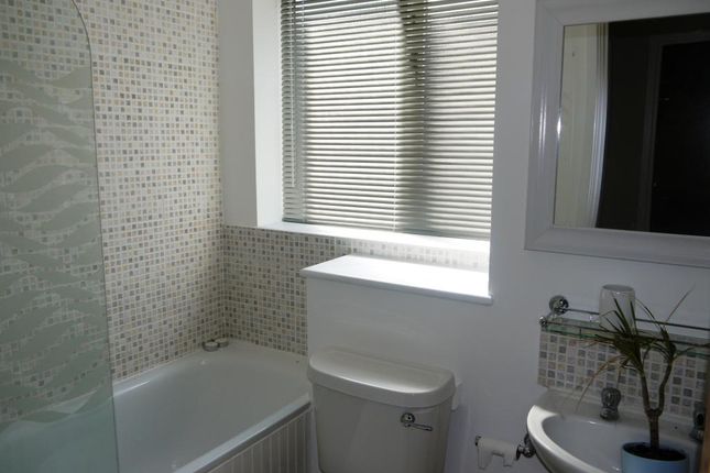 Thicket Grove, Anerley photo 5