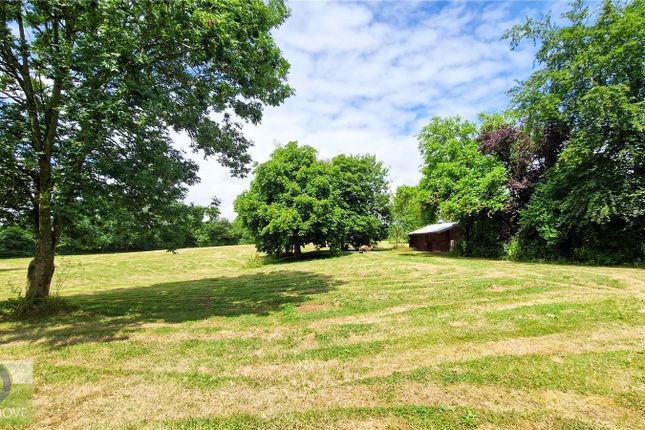 Detached house to rent in Kidderminster Road, Dodford, Bromsgrove