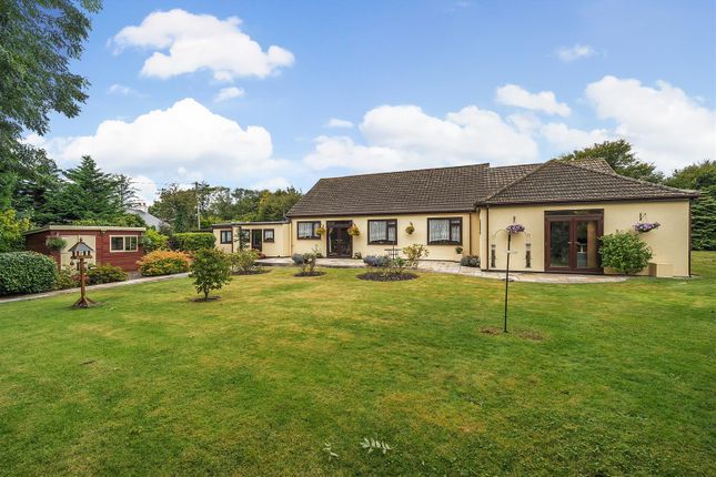 Eremo, Travellers Rest, Redruth photo 2