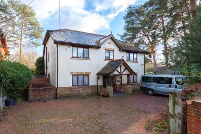 Thumbnail Detached house for sale in Old Pasture Road, Frimley, Surrey