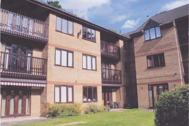 Thumbnail Flat to rent in Pine Court, Plantation Drive, Norwich