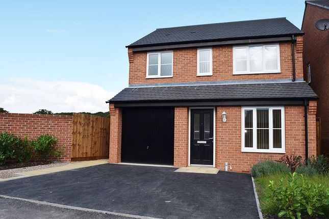 Thumbnail Detached house to rent in Merevale Way, Stenson Fields, Derby, Derbyshire
