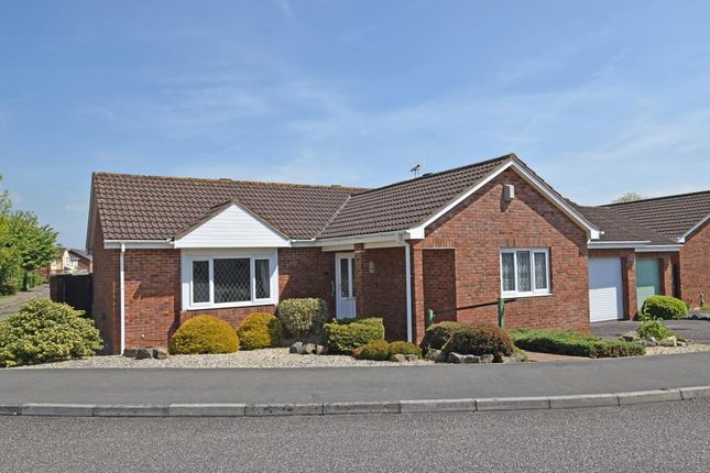 Thumbnail Detached bungalow for sale in Weavers Walk, Cullompton