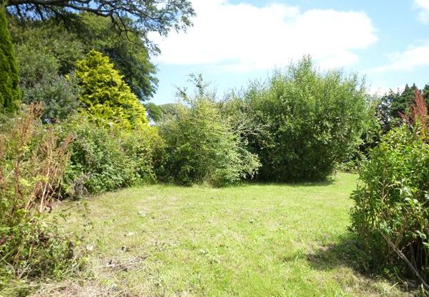 P1530540