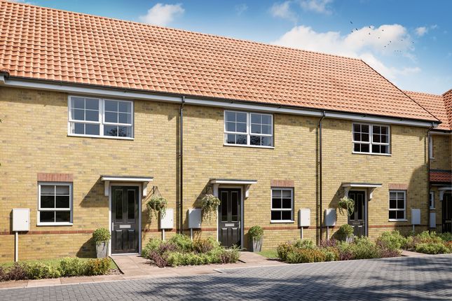 End terrace house for sale in "Cohort" at Bevan Way, Aylesham, Canterbury
