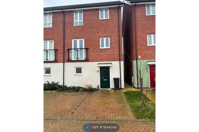 Thumbnail Semi-detached house to rent in Barnmead Meadow, Grays