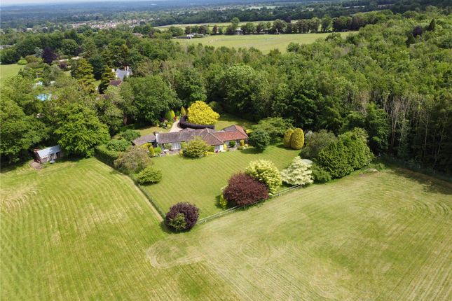 Thumbnail Bungalow for sale in Beech Avenue, Effingham