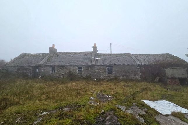 Studio house on The Croft, Upper Smerral, Latheron, £125,000