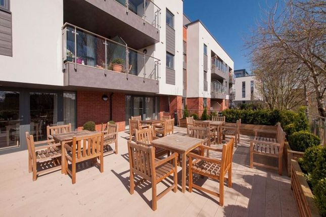 South Facing Sun Deck