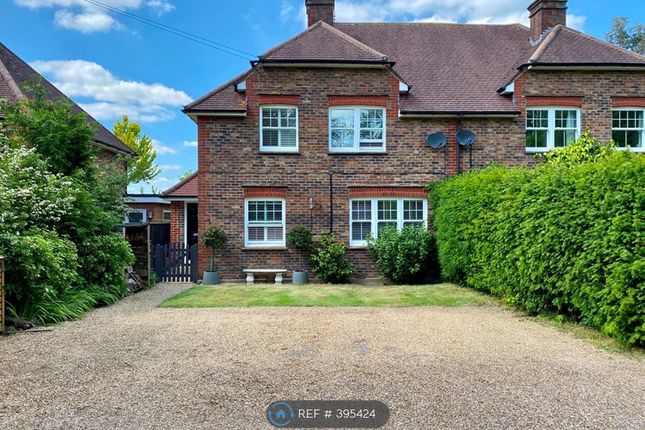 Thumbnail Semi-detached house to rent in Haywards Villas, Haywards Heath
