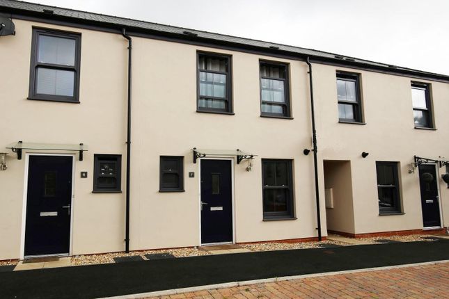 Img_7590 (Large) 1 - Copy.Jpg