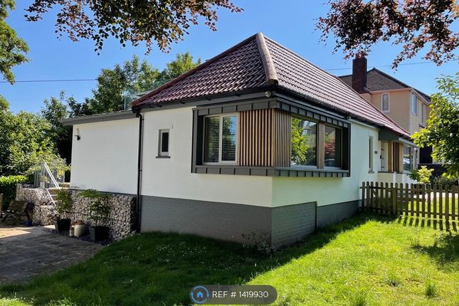 Thumbnail Detached house to rent in Bruton Place, Cardiff