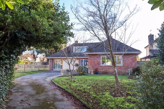 Thumbnail Detached bungalow for sale in The Avenue, Clevedon