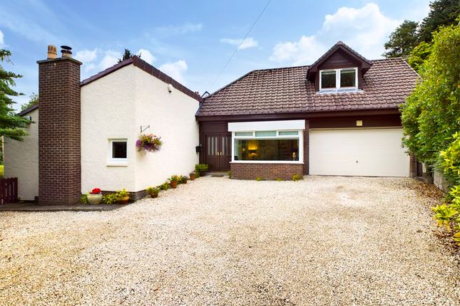 Thumbnail Property for sale in The Conifers, Braxfield Road, Lanark