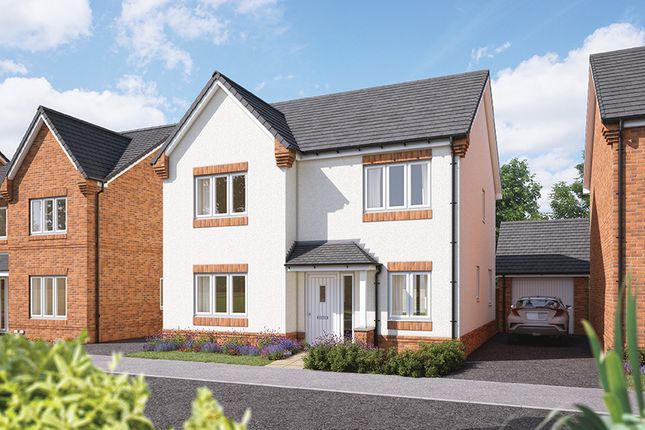 Thumbnail Detached house for sale in "The Aspen" at Morpeth Close, Peterborough