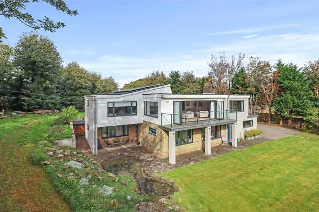 Thumbnail Detached house for sale in Grove Hill, Hellingly, Hailsham, East Sussex