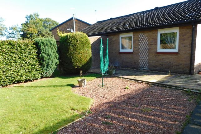 Thumbnail Semi-detached bungalow to rent in East Bankton Place, Livingston