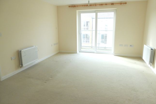 39, Bristol photo 2