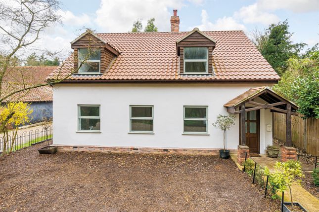 Thumbnail Detached house for sale in The Common, Dunston, Norwich, Norfolk