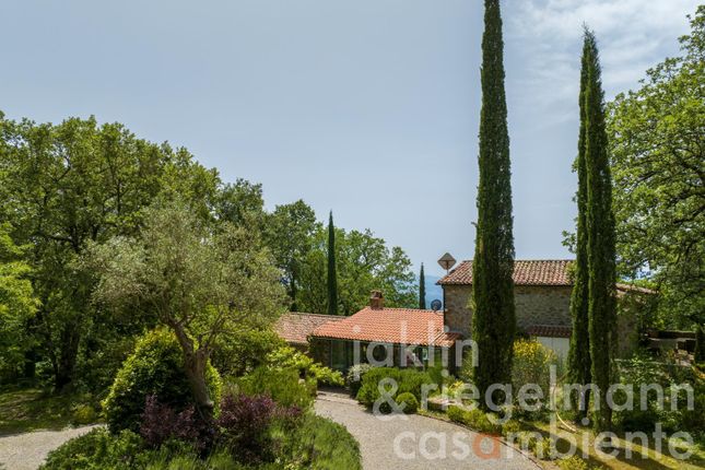 Country house for sale in Italy, Tuscany, Grosseto, Massa Marittima