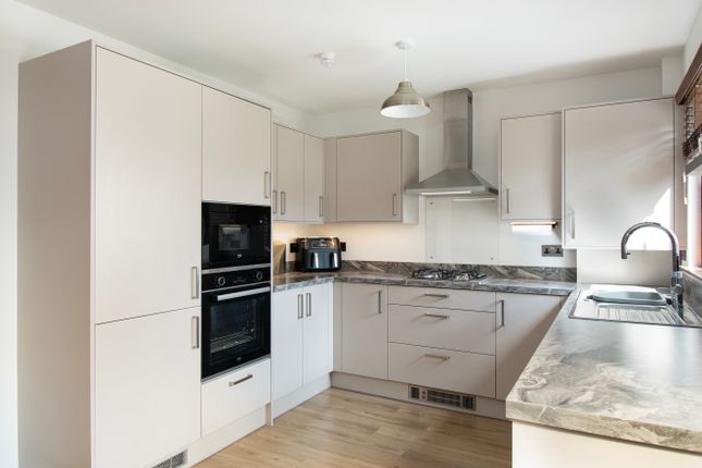 27, Campbell Crescent, Arbroath photo 5