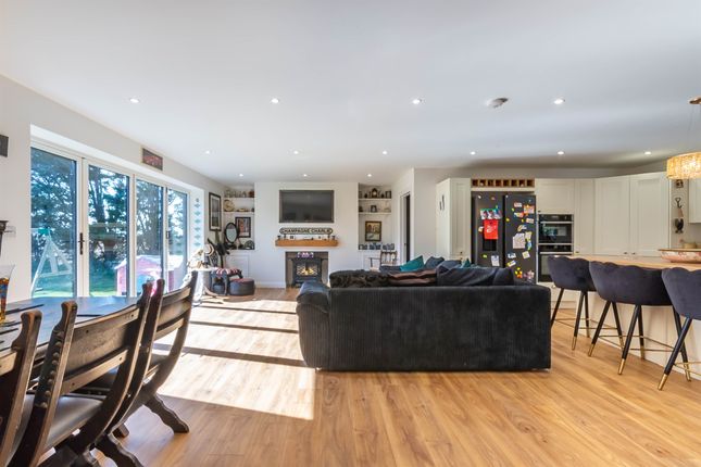 Lounge / Kitchen / Dining Room