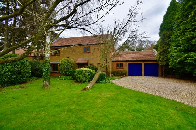 Thumbnail Detached house to rent in Pine Court, Little Brington, Northants