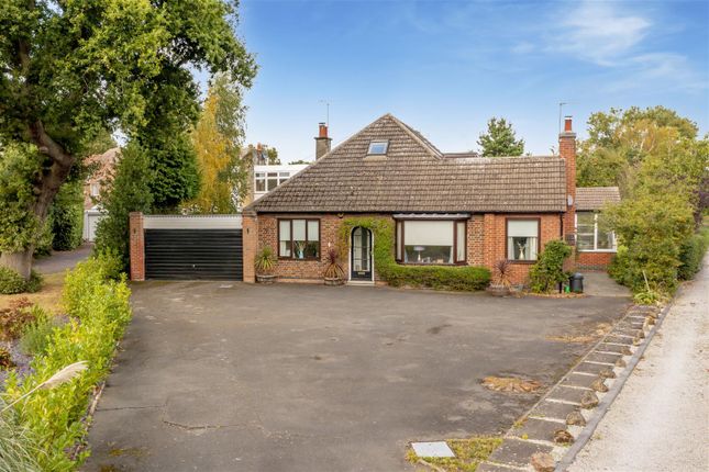 Thumbnail Detached bungalow for sale in Maple Grove, Breaston, Derby