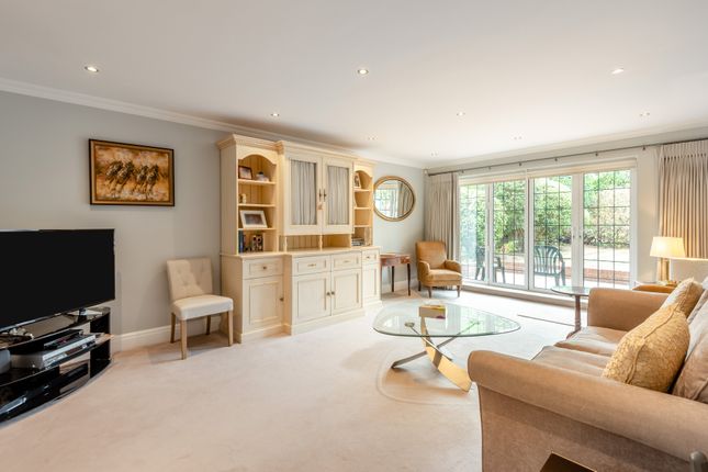 Packhorse Road, Buckinghamshire photo 4