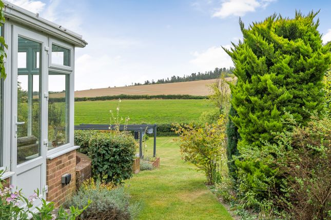 Thumbnail Detached house for sale in The Street, Bury, West Sussex