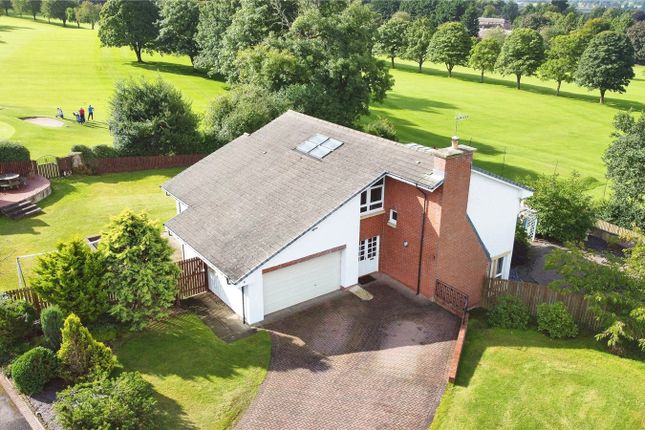 Thumbnail Detached house for sale in Mountainhall Avenue, Dumfries, Dumfries And Galloway