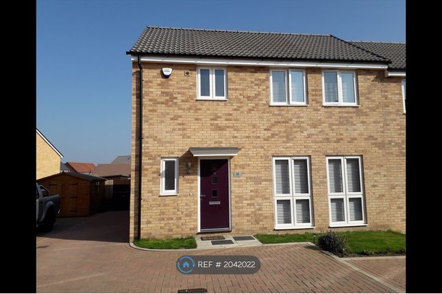 Semi-detached house to rent in Meerkat Mews, Stanway, Colchester