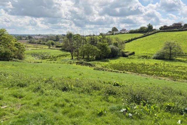 Trefechan Fawr, Trefechan Road, Carmarthen photo 3