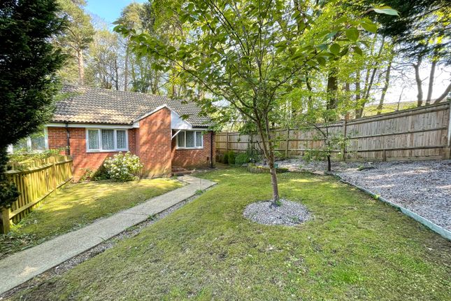Semi-detached bungalow for sale in Bedford Close, Whitehill, Bordon, Hampshire