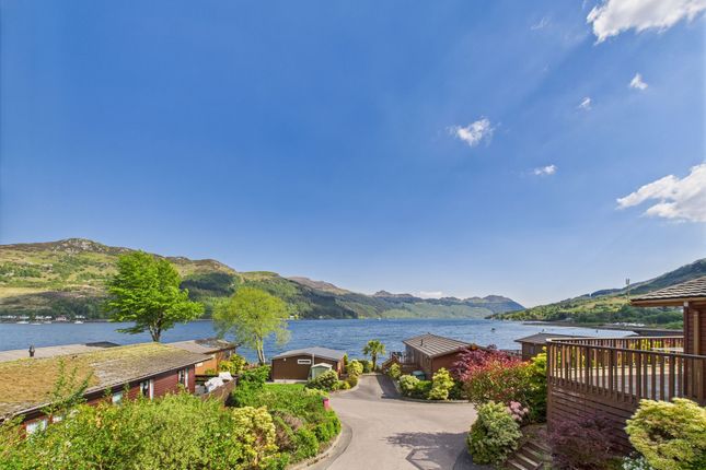 Luxury Lodge, Drimsynie Holiday Village, Lochgoilhead photo 2