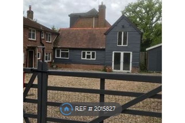 Thumbnail Detached house to rent in Silchester Road, Tadley