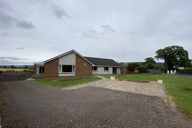 Thumbnail Detached bungalow to rent in Heughfield Road, Bridge Of Earn, Perth
