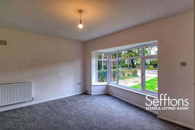 67 Elizabeth Avenue, Norwich photo 4
