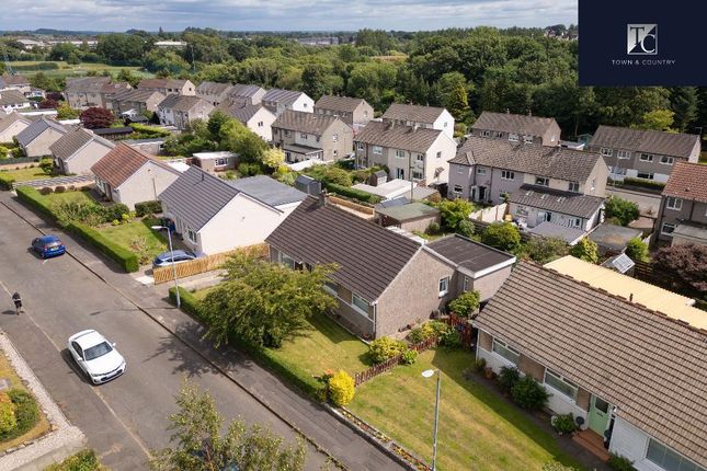 14, Burnside Avenue, Kirkintilloch photo 4